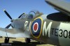 Spitfire